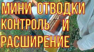 Отводки на одну рамку расплода. Первое расширение. Контроль облёта матки.