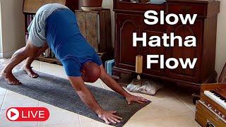 Slow Hatha Flow | 60 Mins - 1/8/25 | #Yoga #SlowHathaFlow #PeaceAndLove