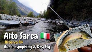 Fly fishing in Trentino | Alto Sarca | Riserva R4 | Euro-nymphing & Dry Fly |     Marble trout