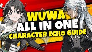 BEST ECHO GUIDE FOR ALL CHARACTERS IN WUTHERING WAVE