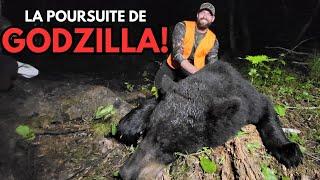 Chasse à l'ours noir en Outaouais - Chasser, Cuisiner, Manger