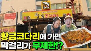 무제한 막걸리 & 셀프바가 있는 명품 코다리조림 전문점에서  완벽한 요리 맛집에서 입담 - 황금코다리