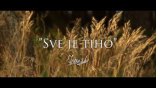 11. "Sve je tiho" - IVANSKI ( stihovi - Josipa Šoštar )