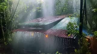 Rain on Metal Roof vs Rain in the Forest: The UNEXPECTED Winner