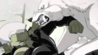 Wolf's Rain- Feel Like I Do- preview