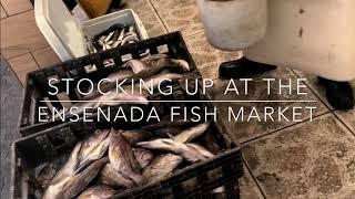 Stocking the Freezer at the Fish Market: Homesteading Family
