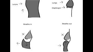 Proper Breathing Strategies: 4-2-4-2 breath