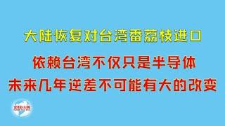 【游侠小周】大陆恢复对台湾番荔枝进口，依赖台湾不仅只是半导体、未来几年逆差不可能有大的改变