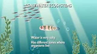 Aquatic Ecosystems