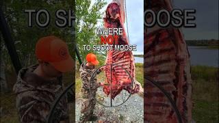 Where NOT to Shoot a Moose | Hunting Tips #moose #hunting #tips