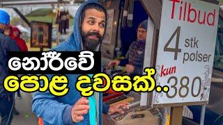 අවුරුද්දටම තුන් පාරක් තියන නෝර්වේ  පොලක්|daily vlog|Norway|europe