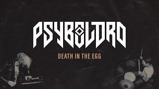 Psybolord - Death in the Egg - Noise/Rumble: Live Session