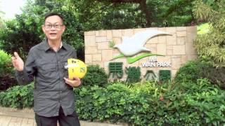 新地動態 – 黃國樑：跟樹木談情說愛