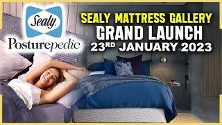 Sealy India Showroom Launch | Sealy Posturepedic Mattress | Hybiz tv