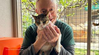 Is your cat a psychopath? New research lets to you test