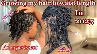 How I’m growing my hair to waist length in 2025,Taking down 4 weeks old mini twist ft qvr hair