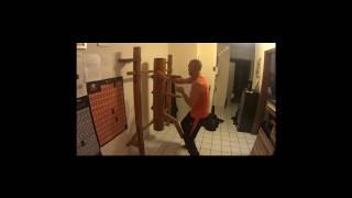 WU WEI WING TZUN - free flowing technics - Sifu Senz 2015