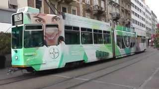 Tram Straßenbahn Linie 15 Basel