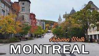 Montreal Autumn Walking Tour - October 2024