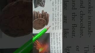 class-4-| L-9-| Rocks and Soil| Candid New trends in Science| #1