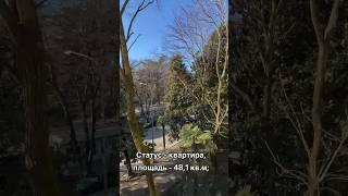 48,1м² Двухкомнатная в Центре Сочи по Выгодной цене! #НедвижимостьСочи