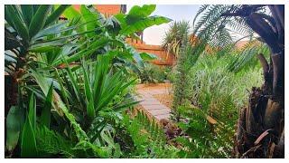 UK TROPICAL GARDEN TOUR  NEW BUILD  AMAZING  GARDEN DESIGN