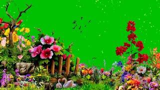 green screen effect video | animated flowers green screen | flower green screen no copyright #green