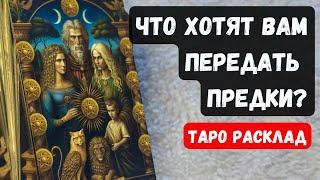  ЧТО ХОТЯТ ВАМ ПЕРЕДАТЬ ПРЕДКИ? Гадание расклад на таро онлайн Vedascara
