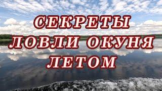 СЕКРЕТЫ ЛОВЛИ ОКУНЯ летом! Когда ЛУЧШЕЕ Время для рыбалки на окуня!