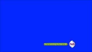 The Hub Network Screen Bug Template (2010-2011) (HD Feed)