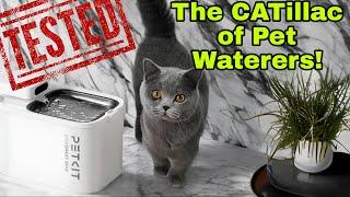 Petkit Eversweet Max Review: Wireless and Smart Cat Water Fountain