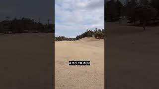 #캐디#보키#캐디업무#캐디일과#골프