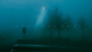 arbour x fantompower - mid-morning fog