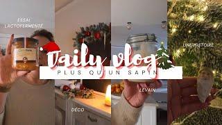 Vlog du 2 au 3 décembre : Plus qu’un sapin...notre histoire !!!