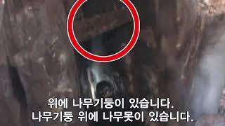 0 최신 노아방주5분50초