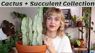 My Cactus + Succulent Collection | desert plants in the PNW 