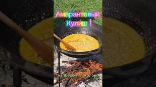 Саша великий ЭКО шеф повар! Объеденение!
