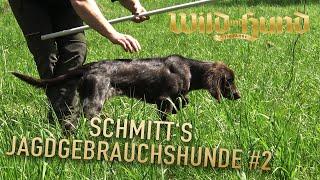 Vorstehen von A-Z - Schmitt's Jagdgebrauchshunde - Folge 2