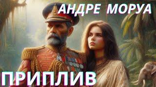 Андре Моруа -ПРИПЛИВ #аудіокнигаукраїнською #rek #booktok #history #аудіокнига