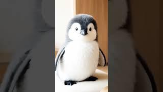 Cute baby penguin love  #cute #penguin #adoreble #cuteanimal #penguinlove #cutebird #cutepenguin