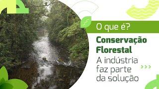 O que é Conservação Florestal | A indústria faz parte da solução