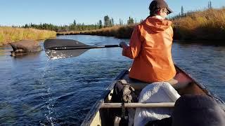 Canoe Trip on the Swanson River (Alaska)