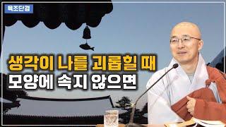 [육조24] 생각이 나를 괴롭힌다, 모양에 속지만 않으면, 머물지 않는 마음, 무주