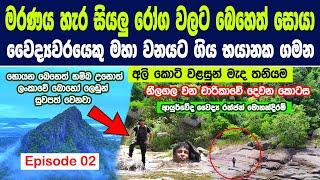 වෛද්‍යවරයාගේ මේ කැලෑ ගමන සාර්ථක වුනොත් ලංකාවේ බොහෝ ලෙඩුන් සුවපත් වෙනවා | Great Forest Herbs Journey