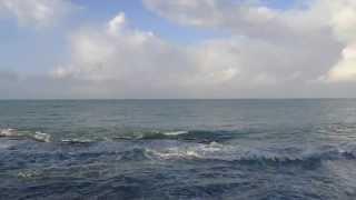 The Ocean... from Treasure Beach, Jamaica