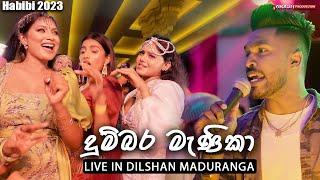 🟣 Dumbara Manika (දුම්බර මැණිකා) - Dilshan Maduranga Live in HABIBI 2023 | VIRASH PRODUCTION | OLDS