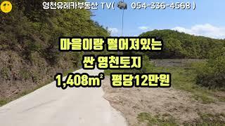 @영천유레카부동산TV#마을이랑 떨어져있는 싼 영천토지#영천부동산#영천토지#영천땅#영천전원주택