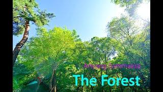 [ 231007 ] 안양 타운하우스 같은 삼막사 테라스 하우스 빌라 분양(Anyang Sammaksa The Forest for sale)