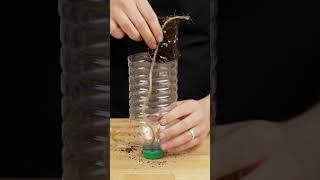 Turn a Plastic Bottle into a Genius Planter
