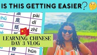 I think I'm getting better!!! Beginner level: Learning Chinese in Yangshuo China: Vlog #3